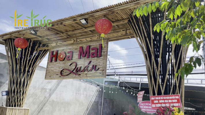 Thi công tre trúc cho hệ thống quán nhậu Hoa Mai Quán - Tre Trúc Thái Dương